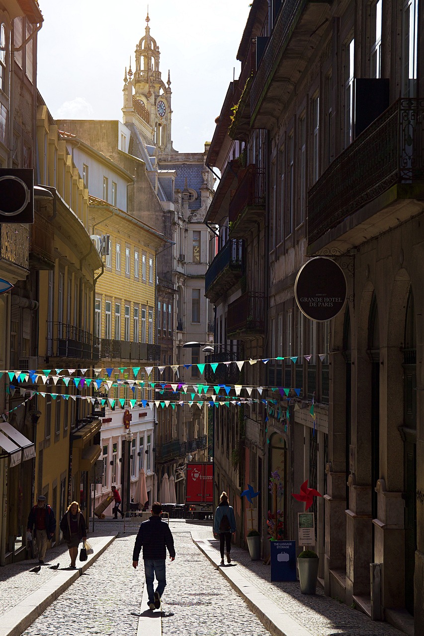 Vue sur les toits et l'architecture de Porto avec ses façades colorées
